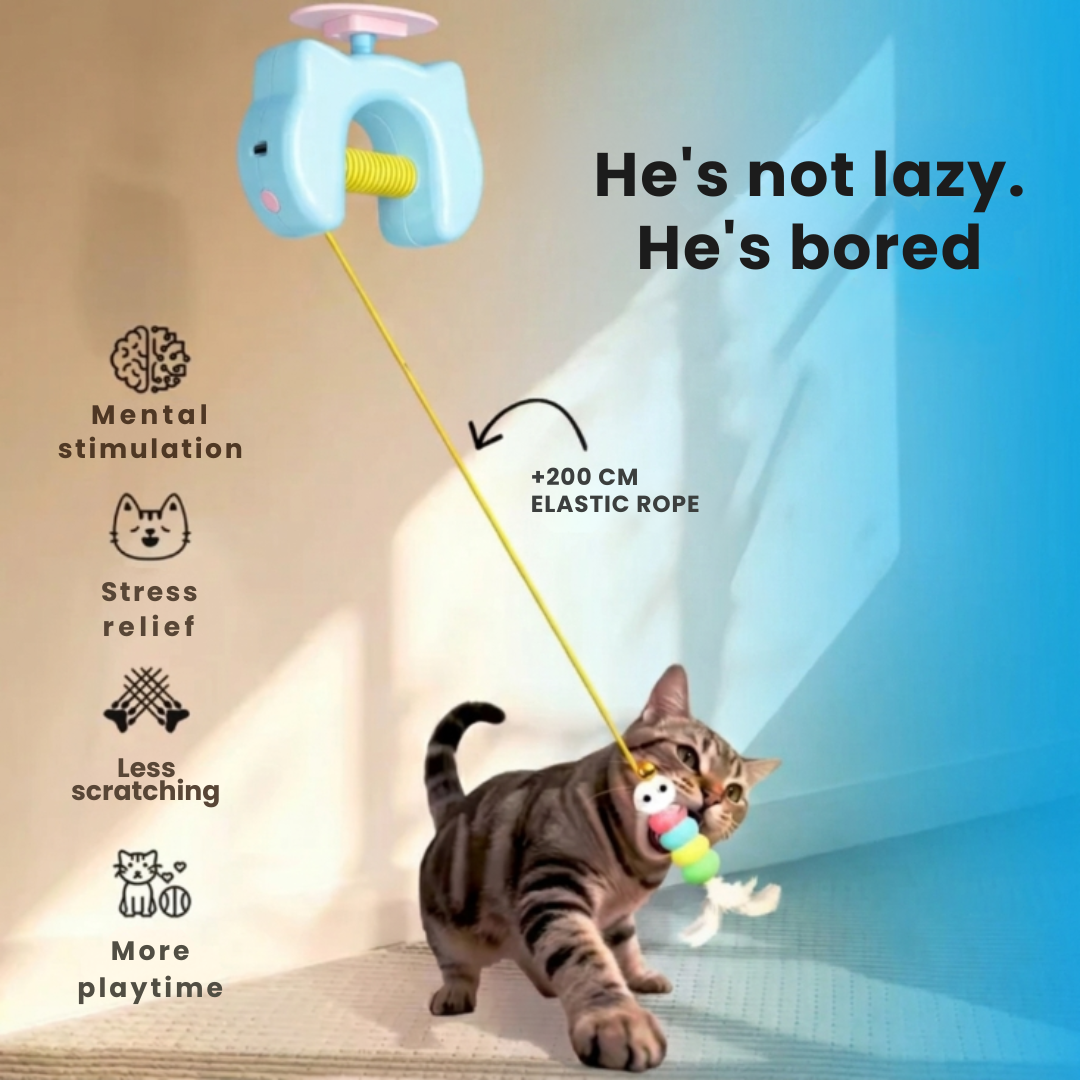 Interactive Cat Toy That Plays While You're Away