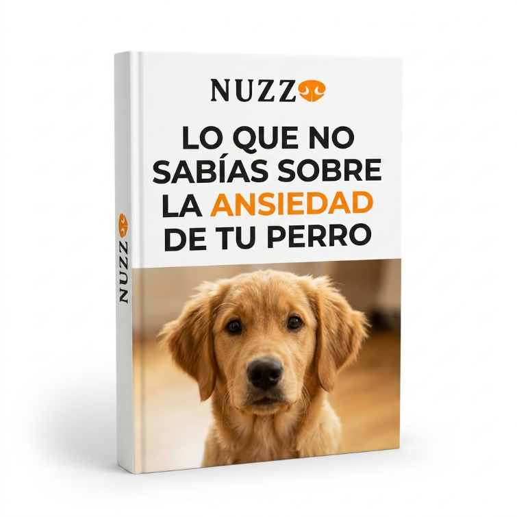 Guía de la ansiedad