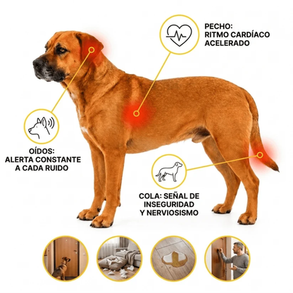 Nuzzo™ Masajeador Antiestrés para Mascotas