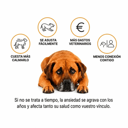 Nuzzo™ Masajeador Antiestrés para Mascotas
