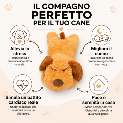 peluche calmante per cani