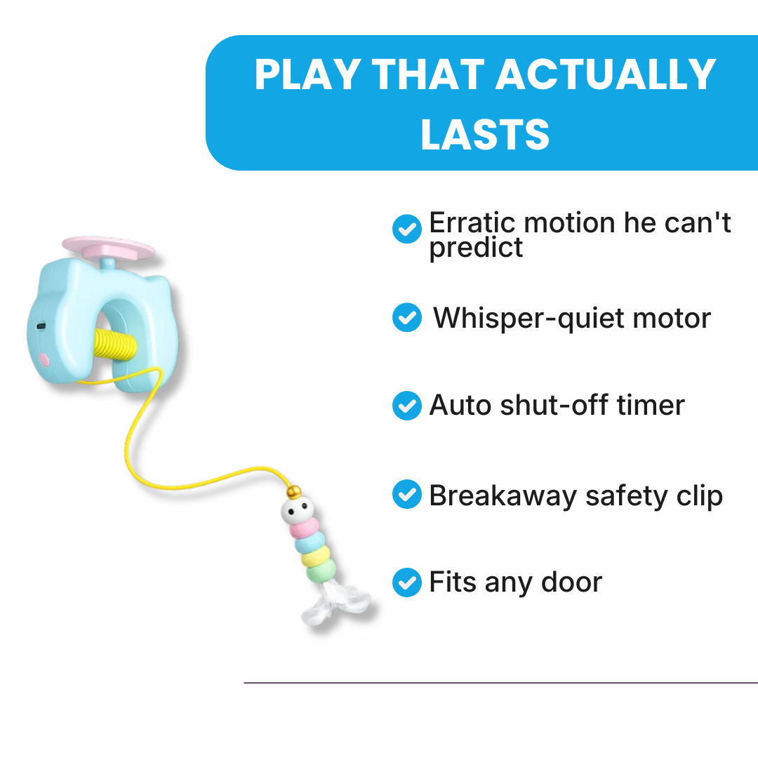 Interactive Cat Toy That Plays While You're Away