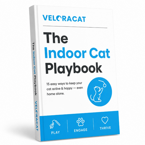 The Indoor Cat Playbook